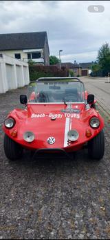 Volkswagen Buggy Momo H-Kennzeichen  - Volkswagen Buggy: Cabrio