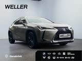 Lexus UX 250h Amazing Edition *Bi-LED*ACC*CAM*CarPlay* - Lexus UX aus 2020