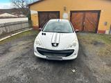 Peugeot 206 + Street Racing Edition - Peugeot 206 von privat