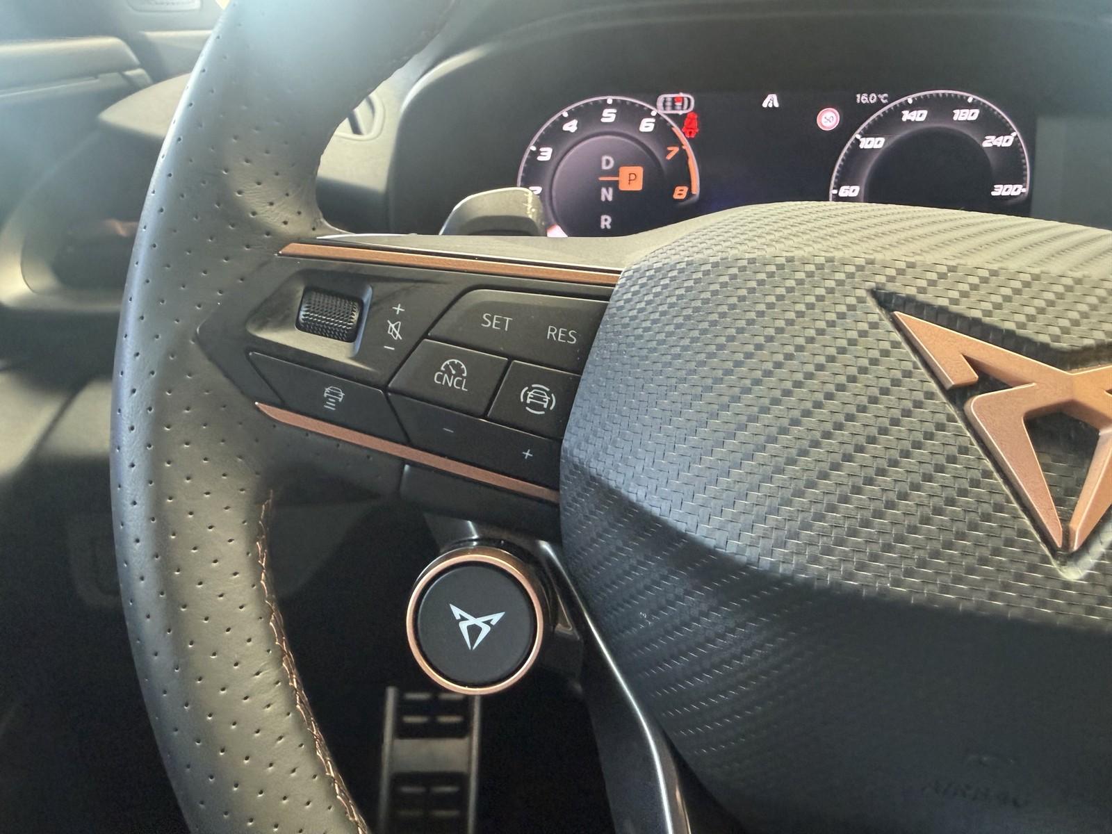 Cupra Terramar 2.0TSi 4-Drive Sport Autom., *LED *AHK, миниатюра 21