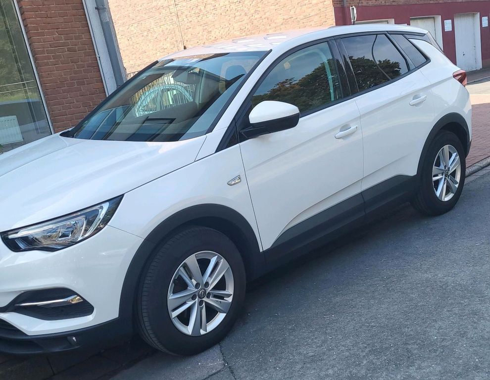 Image of Opel Other