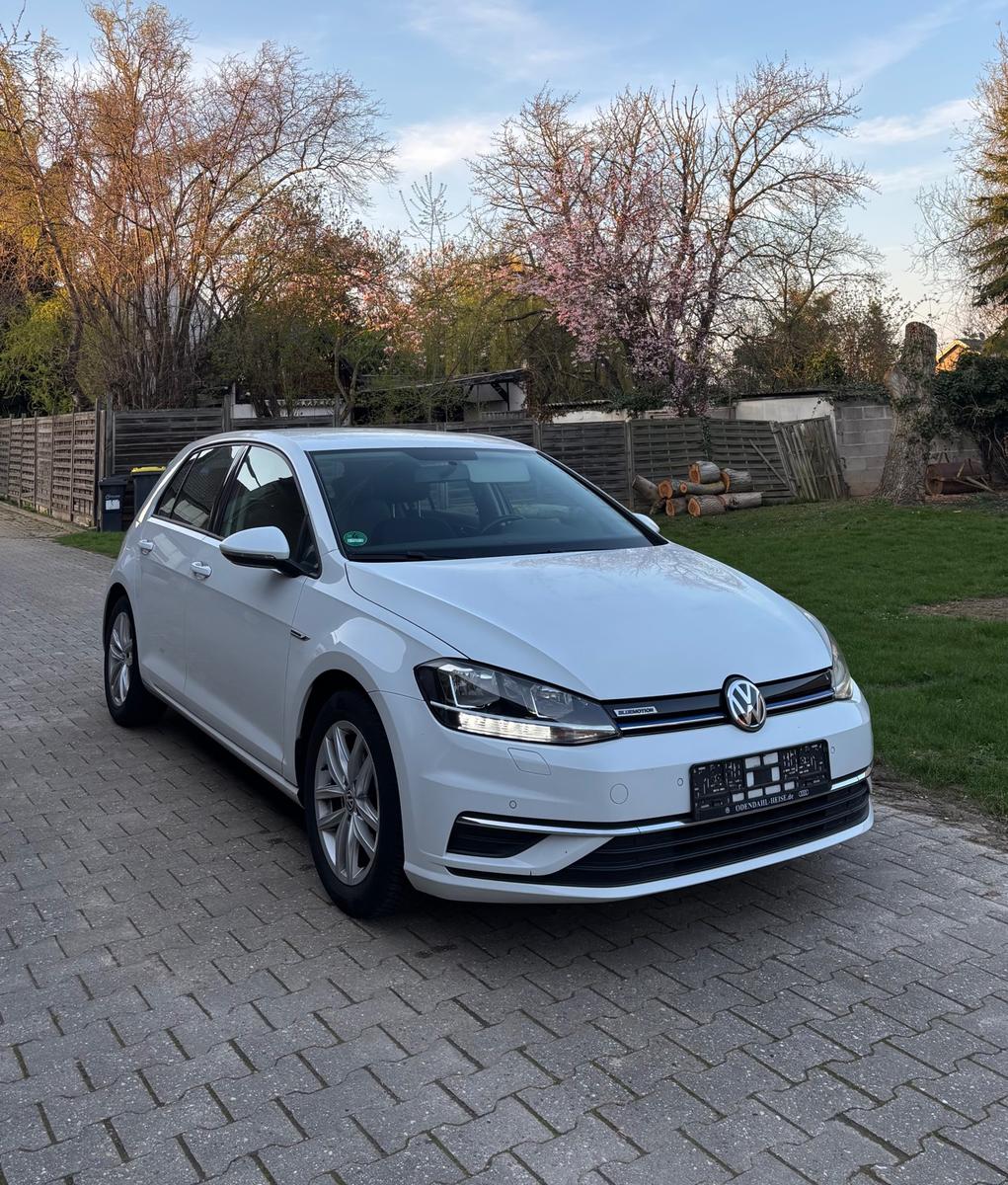 Volkswagen Golf VII Lim. Comfortline BlueMotion -Scheckheft