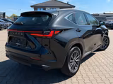 Lexus NX 350h Executive Hybrid - Lexus: Nx