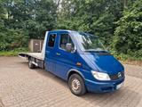Mercedes-Benz Sprinter 313 Cdi Maxi Abschl... - Mercedes-Benz Sprinter: 313 Cdi Maxi
