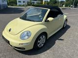 Volkswagen VW Beetle Cabrio 1,9 tdi / TÜV 02/2027 - Volkswagen Beetle aus 2006: Cabrio