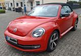 Volkswagen Beetle 2.0 TDI 81kW DSG BMT CLUB Cabriolet CLUB - Volkswagen Beetle mit Diesel-Antrieb: Cabrio