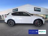 Alfa Romeo Stelvio 2.0 Turbo 16V Veloce Q 4 AT8 - Alfa Romeo aus 2024