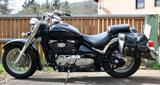 Suzuki VL800 Volusia - SUZUKI VL 800 VOLUSIA