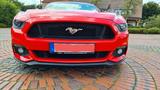 Ford Mustang - Einzelstück  - Ford Mustang in Osnabrück