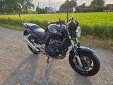 Honda CBF 600 NA PC38 - HONDA ABS CBF 600 NA