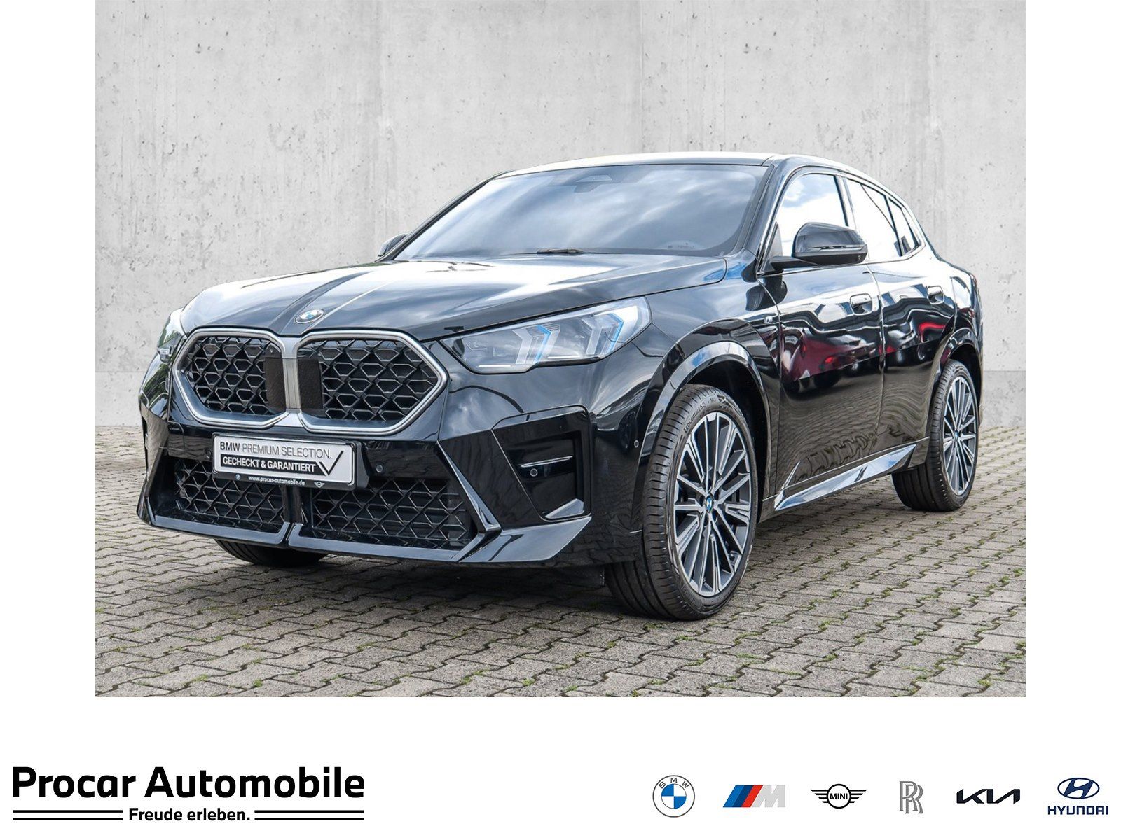 BMW X2 sDrive20i M Sport AHK Pano HuD DA+ H/K PA+ Me