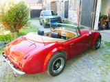 Austin Healey Andere - Austin Healey aus 1963