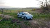 Peugeot 206 CC Tendance 110 Tendance - Peugeot 206: Tendance