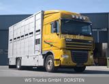 DAF XF 410 SC Menke Doppelstock - DAF XF 410