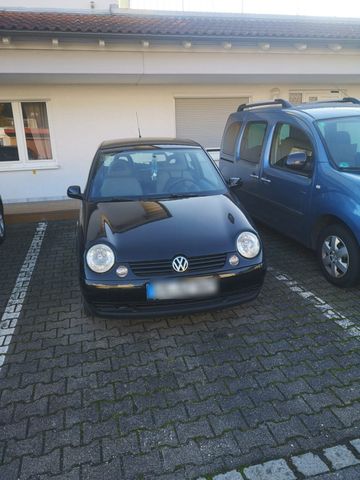 Volkswagen VW Lupo 1.0 Neu TÜV, kein Rost