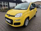 Fiat Panda MY25 1.0 Klima PDC Citypaket - Fiat Panda Gebrauchtwagen in Berlin