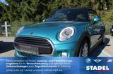 MINI Cooper D Cabrio Pepper Navi.LED.PDC-hi.DAB.HiF - MINI Cooper D Cabrio Gebrauchtwagen