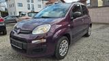 Fiat Panda My Panda 1,3 *TOP*WENIG KM* - gebrauchte Fiat Panda aus dem Jahr 2013