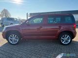 Skoda Yeti 1.4 TSI DSG Drive Bi-Xenon*DSG*DAB+*SHZ*LM* - Skoda Yeti: Dsg