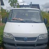 Fiat Ducato - Offers