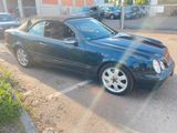 Mercedes-Benz Mercedes CLK Cabrio 230 Kompressor - Mercedes-Benz 230: Kompressor