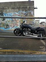 Harley-Davidson V-Rod Muscle Costumbike 2009 - Harley-Davidson Motorräder in Nürnberg