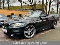 BMW M240i Cabrio LED/NaviProf/Kamera/H&K/19"/Lnkrdhz