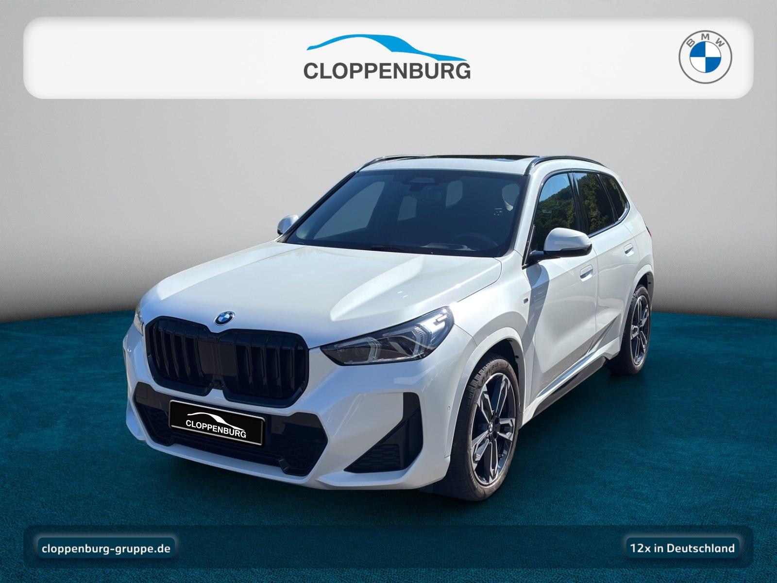 BMW X1 sDrive18d M Sport Head-Up+Navi+Pano+Kamera+BT