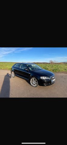 Audi A3 1.6 Attraction gasanlage Euro4