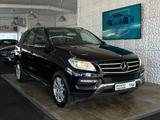 Mercedes-Benz ML 350 BlueEfficiency*TÜV*AHK*TOP*TÜV* - Mercedes-Benz ML-Klasse mit Benzin-Antrieb