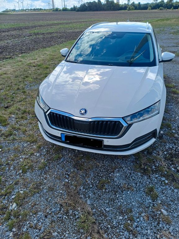Image of Skoda Octavia