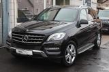 Mercedes-Benz ML 350 R-Kamera*Memory*Stndhzg*Bi-Xenon*Pano*AHK - Mercedes-Benz ML 350 mit Benzin-Antrieb: Automatik