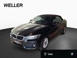 BMW 218i Cabrio Bluetooth Navi LED Klima PDC