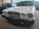 Jaguar XJ12 - Jaguar XJ12 Gebrauchtwagen