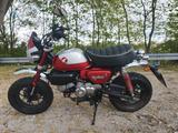 Honda Monkey 125 - Rot / 2022 - HONDA MONKEY