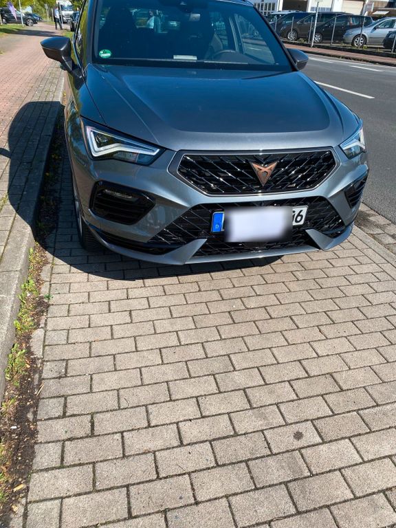 Image of Other Other