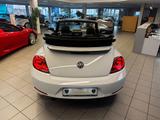 Volkswagen Beetle Cabriolet Club BMT - Volkswagen Beetle: Roadster