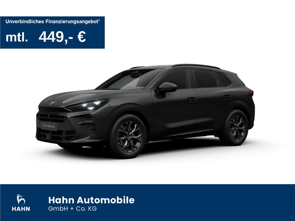 Image of Cupra Terramar