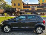 Volkswagen Polo 6R 1.2 TSI LIFE TÜV NEU, Xenon - Volkswagen Polo: N6