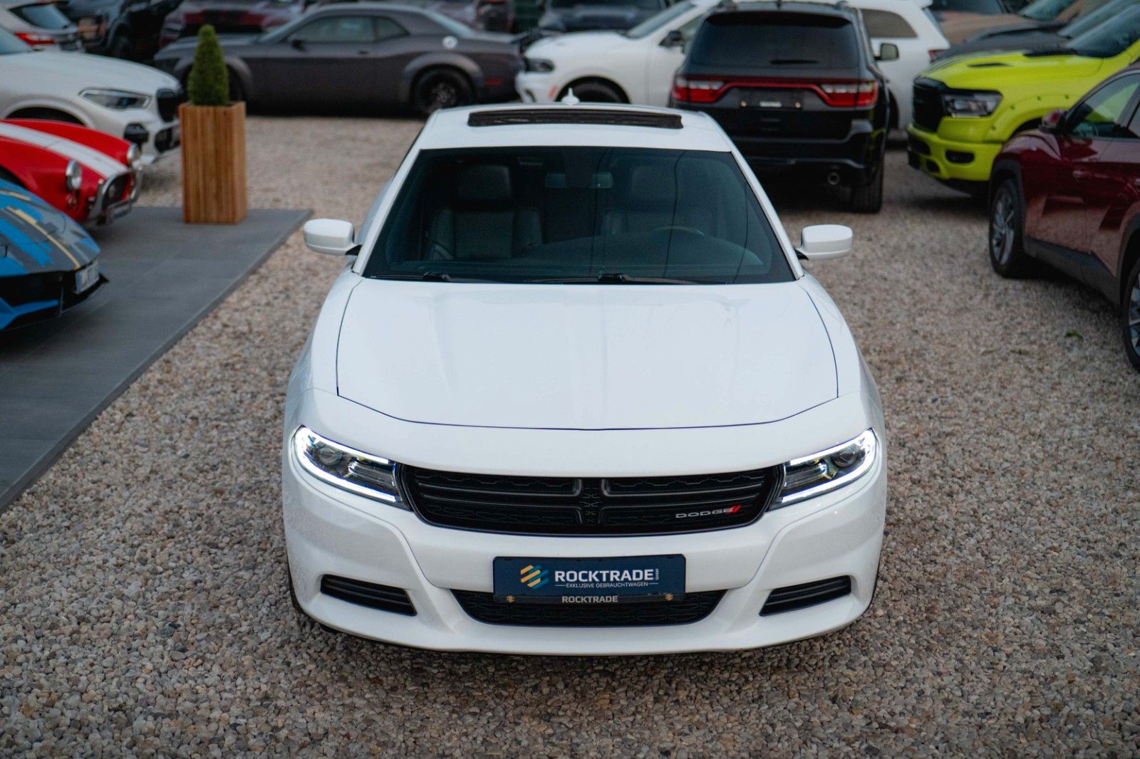 Fahrzeugabbildung Dodge Charger 3.6 Night-Paket | LED | Unfallfrei | 20'