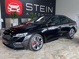 Skoda Octavia RS/AHK/Canton/Kamera/Lane/ACC/Totwinkel