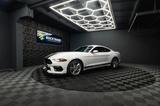 Ford Mustang Shelby GT 500 Coupe Performance PREMIUM - Ford: Shelby