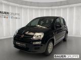 Fiat Pandina 1.0 GSE Hybrid 48 kW Icon - schwarze Fiat New Panda