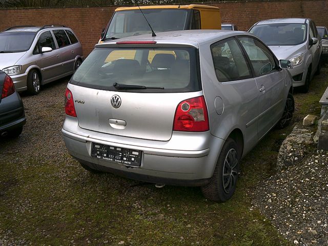 Volkswagen Polo IV Cricket