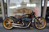 Harley-Davidson Softail Breakout 114 Thunderbike Umbau GP-Z - HARLEY-DAVIDSON THUN