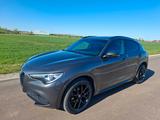 Alfa Romeo Stelvio 2.0 Turbo 16V 206kW Veloce AT8-Q4 Veloce - Alfa Romeo Stelvio veloce mit Benzin-Antrieb