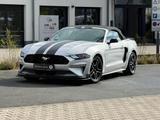 Ford Mustang Shelby GT Look Cabrio *SHZ*Leder*SBL*Kam - Ford Mustang: Cabrio, Shelby