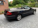 Mercedes-Benz CABRIO CLK 200 KOMPRESSOR AVANTGARDE AUTOMATIK - Mercedes-Benz CLK 200 in Bremen