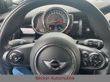 MINI COOPER Mini 3-trg. Cooper NAVI/SITZH/H&K/CHILI - MINI MINI: Rot