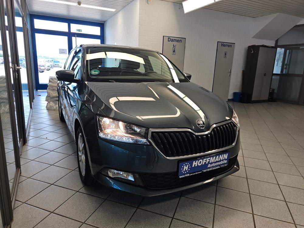 Skoda Fabia Ambition Kamera,Sitzheizung,App-Connect, миниатюра 19